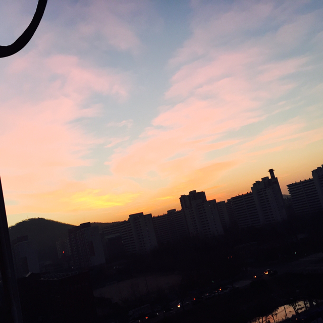 용궁 프로필