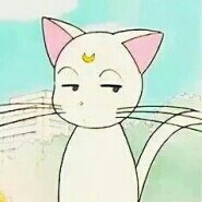 뽀뚜비 프로필
