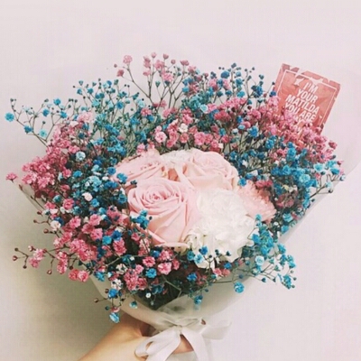 bibie 프로필