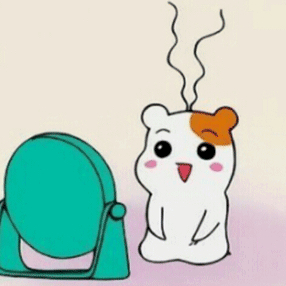 밤비12 프로필