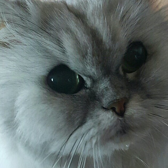 리뷰어 프로필