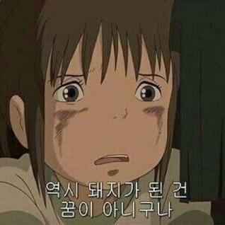 뮹디 프로필