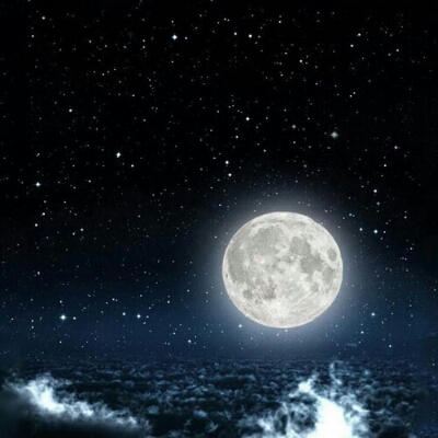 작은초콜릿 프로필