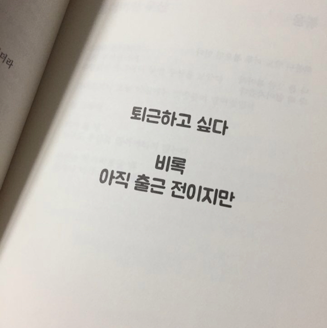 이제리 프로필