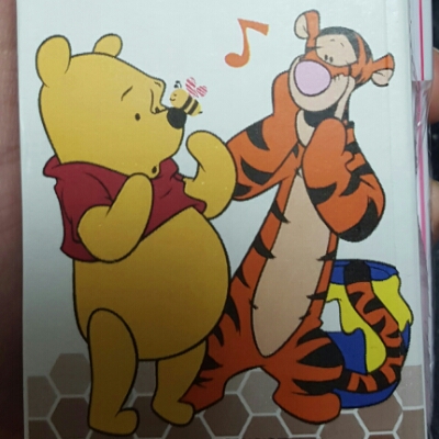 쪼꼬에모옹 프로필