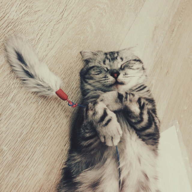 리뷰어 프로필