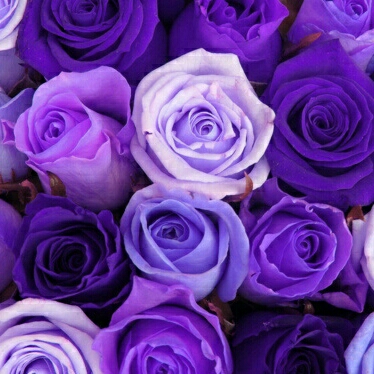 리뷰어 프로필