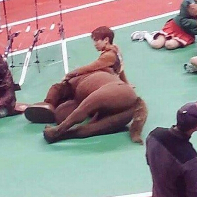 쏘방 프로필