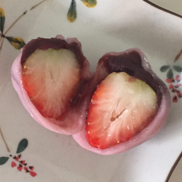 szny 프로필