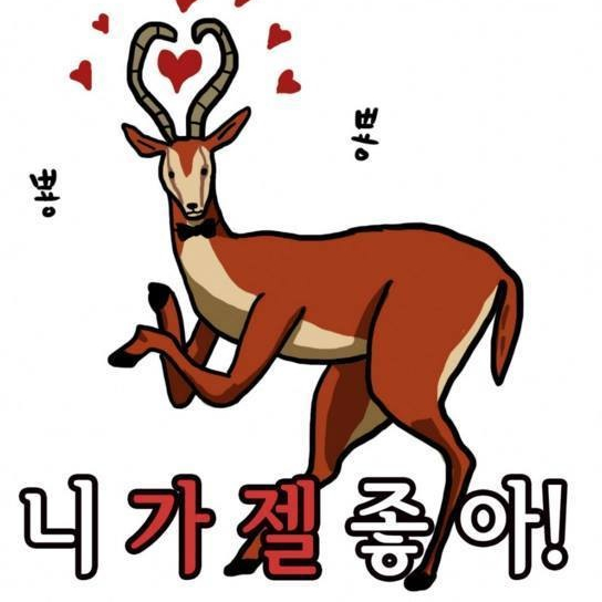 치즈조앙 프로필