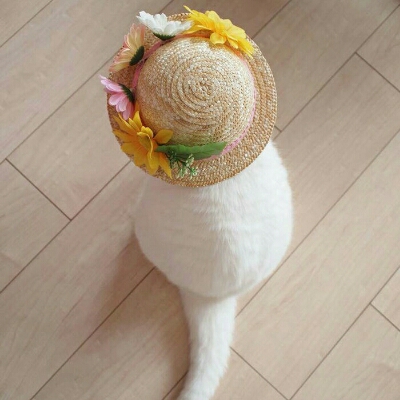 2244 프로필