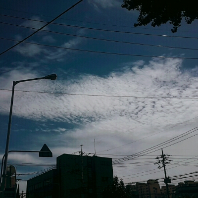 리뷰어 프로필