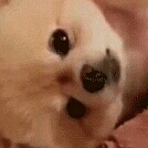 비뿌리기 프로필
