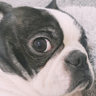 두동이 프로필