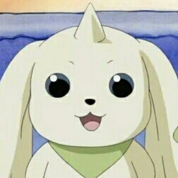 둥살이 프로필