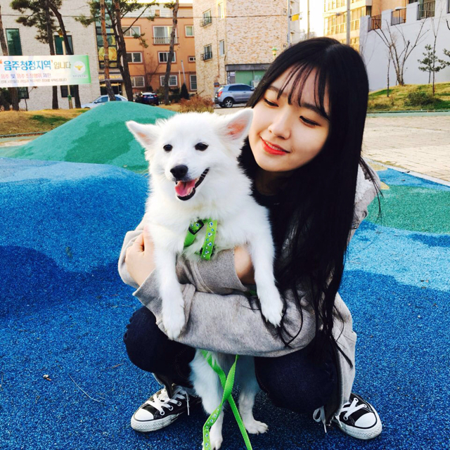 후라이계란 프로필