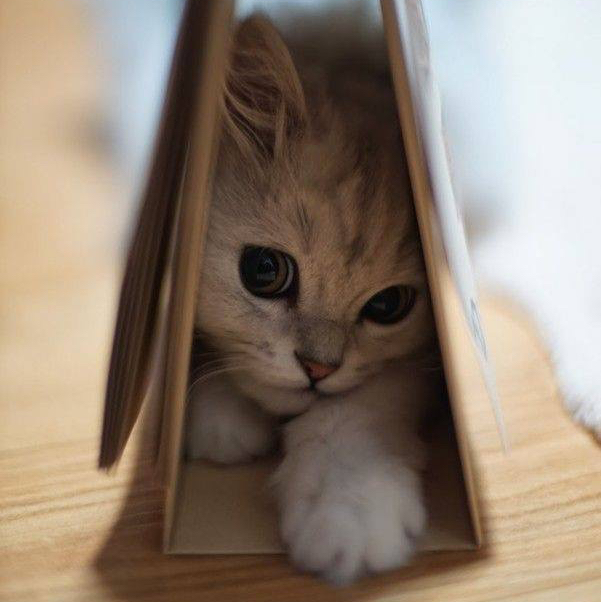 리뷰어 프로필