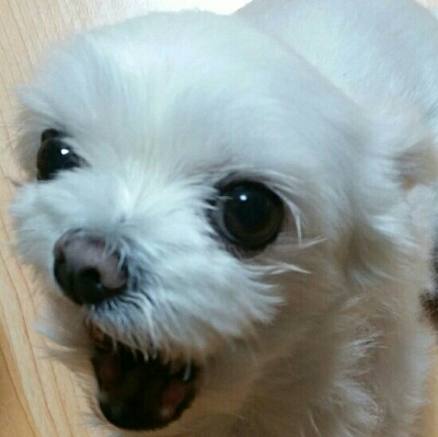kate92 프로필