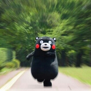 범범파우 프로필