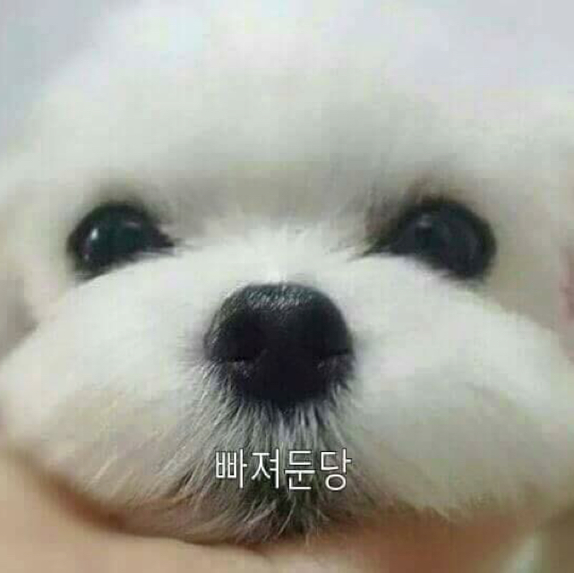 하마아아111 프로필
