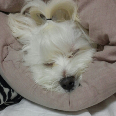 moku 프로필