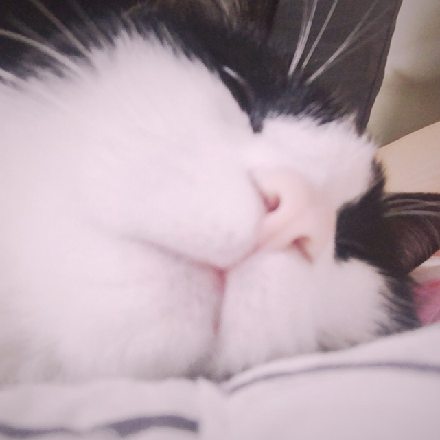 핳ㅎㅎㅎ핳ㅎ 프로필