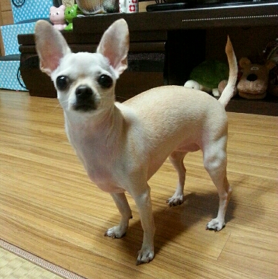 에스더초이 프로필