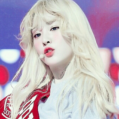 시선둘 프로필