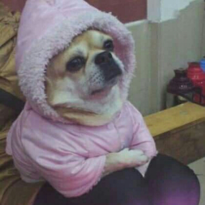 리뷰어 프로필