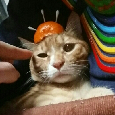 리뷰어 프로필