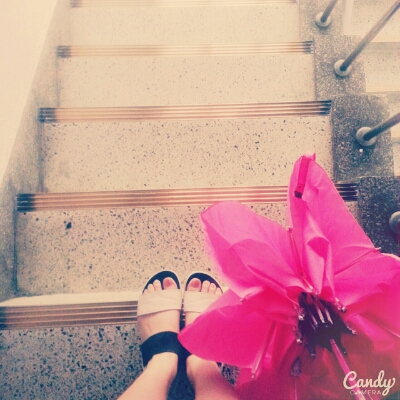 쬬잉 프로필