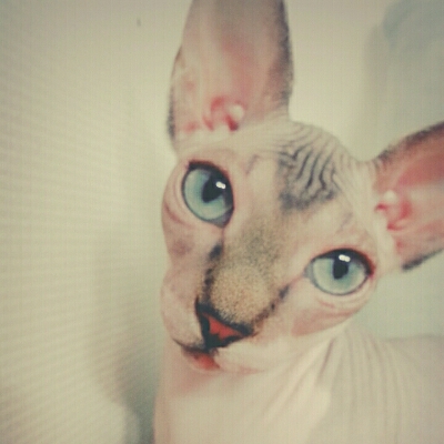 chanchan1025 프로필