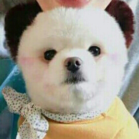 버밍버밍 프로필