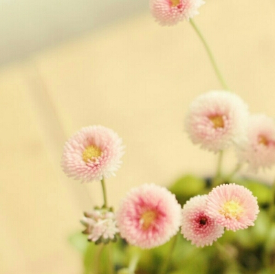 리뷰어 프로필