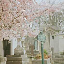 Jennnn 프로필