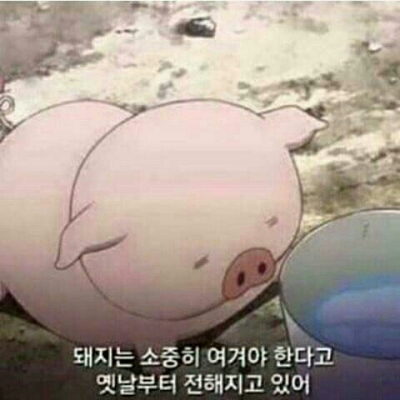 성년의날 프로필