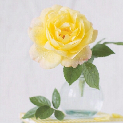 sun908 프로필