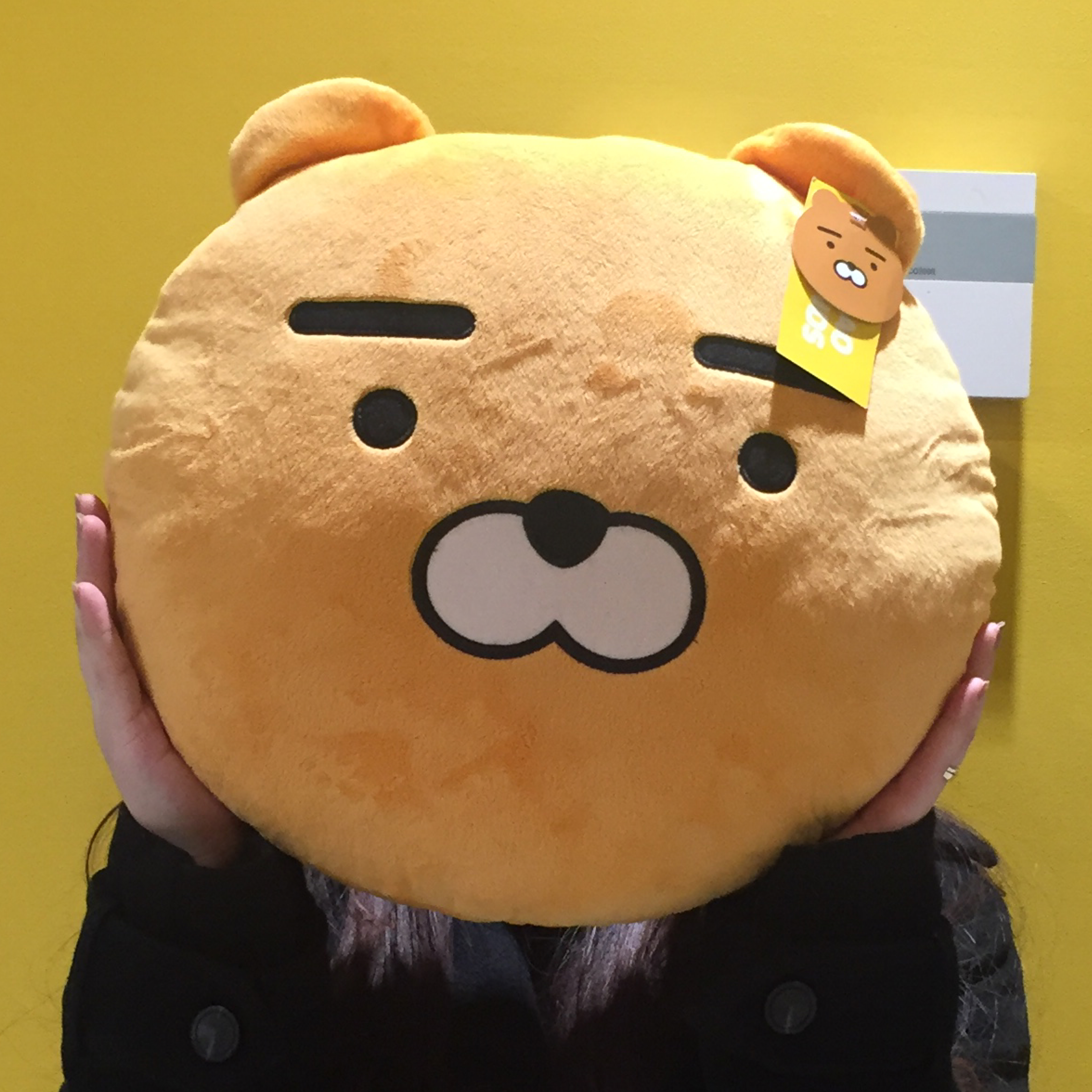 신닝 프로필