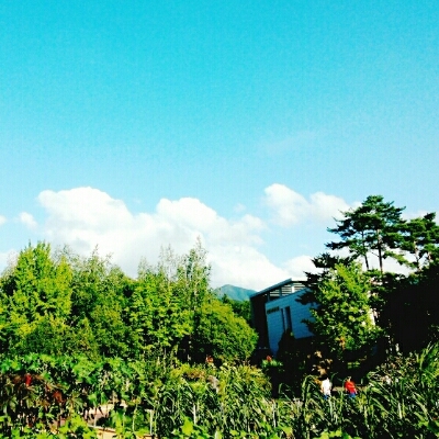 일구팔 프로필