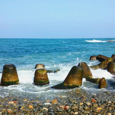 소주먹자 프로필