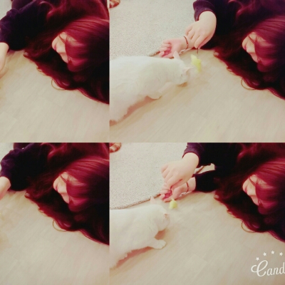 짠탱 프로필