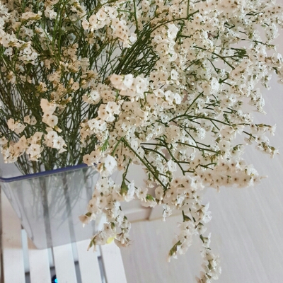 꿍야33 프로필