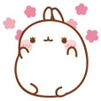 메롱옹