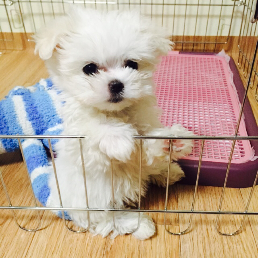 재경혜린 프로필