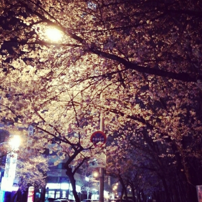 유꾸미 프로필