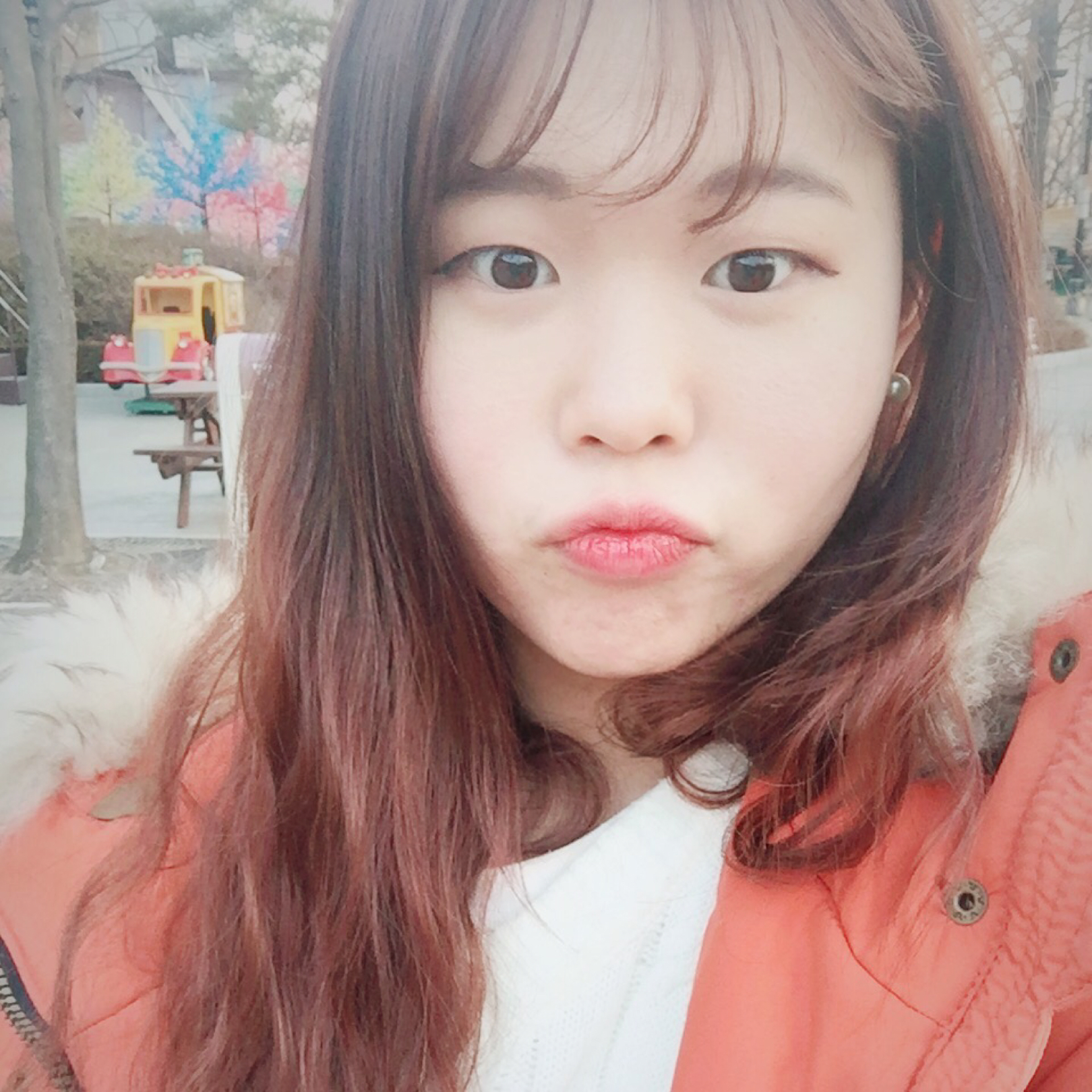 아세로라 프로필