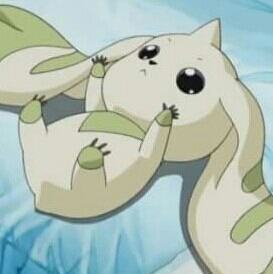 인바디두근두근 프로필