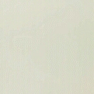애련 프로필