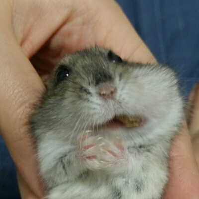 리뷰어 프로필