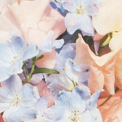 리뷰어 프로필
